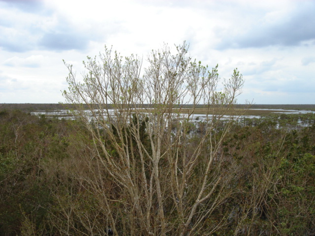 dsc00627.jpg